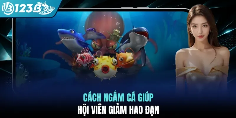 Cách ngắm cá giúp hội viên giảm hao đạn