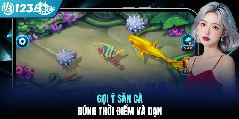 Gợi ý săn cá đúng thời điểm và đạn
